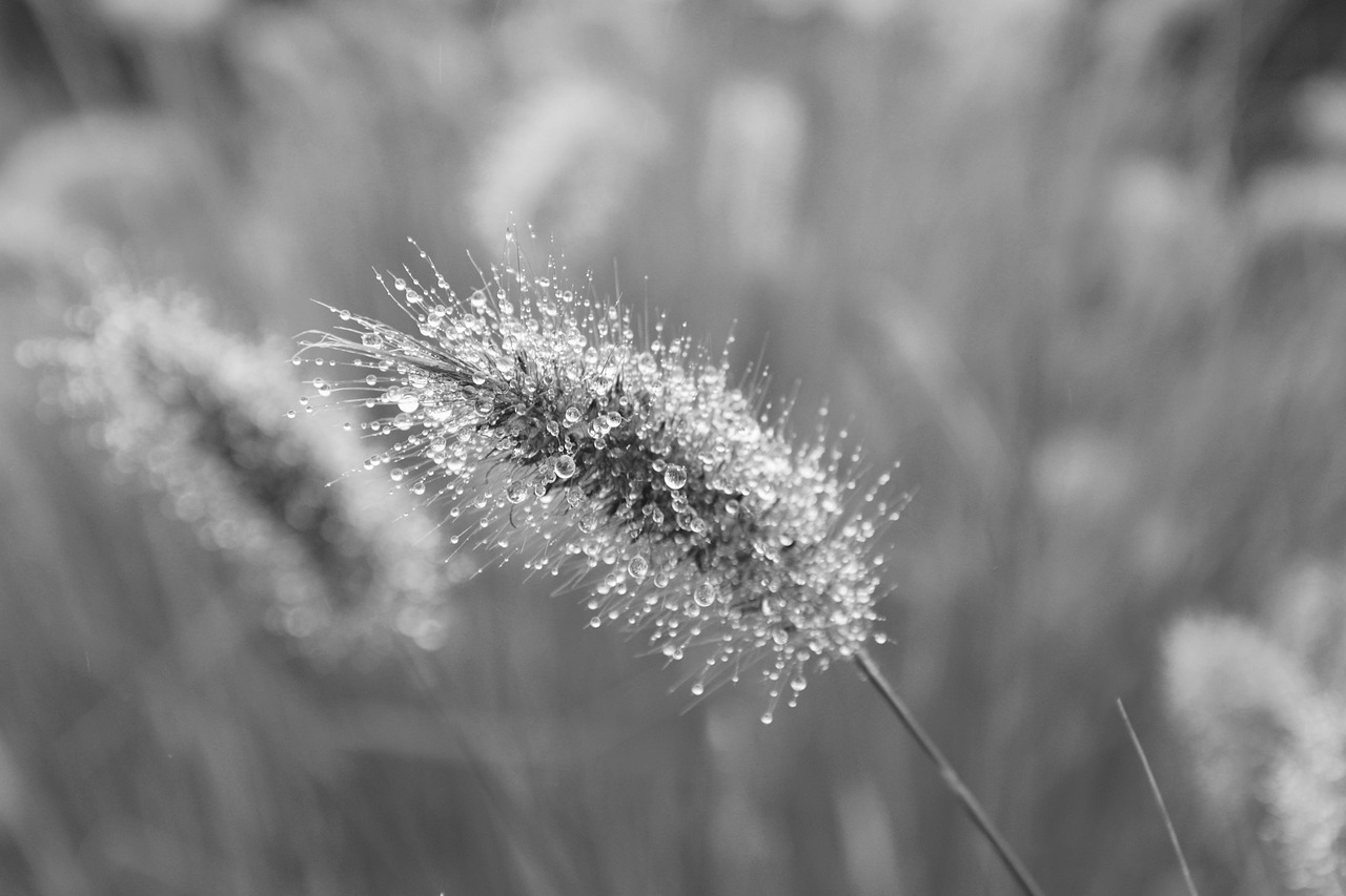 auじぶん銀行のクレカでつみたて設定をするメリットは？